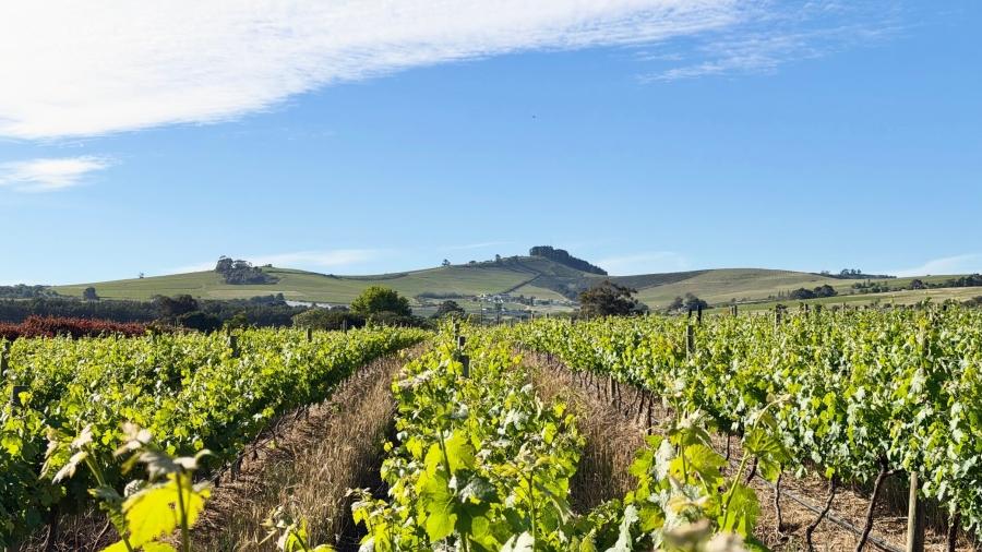 Commercial Property for Sale in Stellenbosch Farms Western Cape